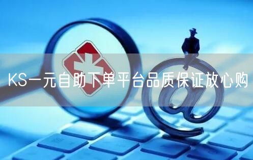 KS一元自助下单平台品质保证放心购