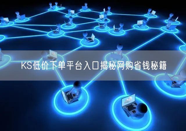 KS低价下单平台入口揭秘网购省钱秘籍