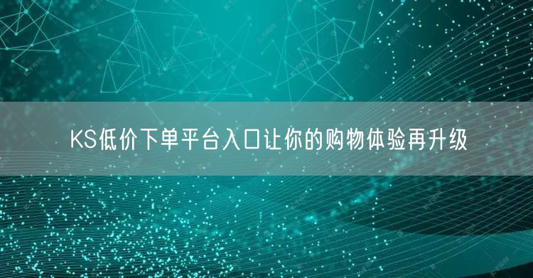 KS低价下单平台入口让你的购物体验再升级