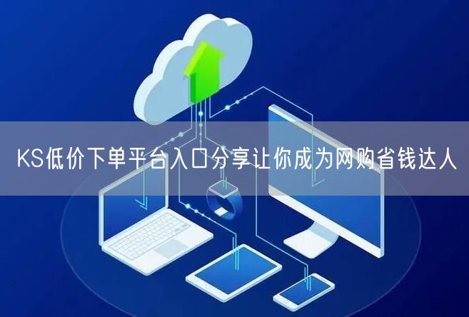 KS低价下单平台入口分享让你成为网购省钱达人