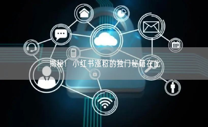 揭秘！小红书涨粉的独门秘籍在此
