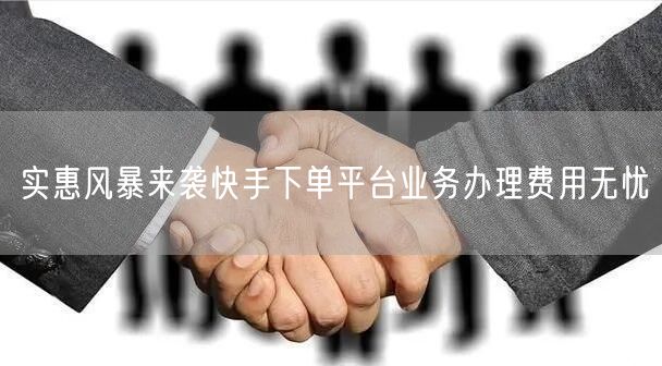 实惠风暴来袭快手下单平台业务办理费用无忧
